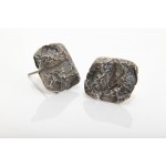 PENDIENTES BOSC